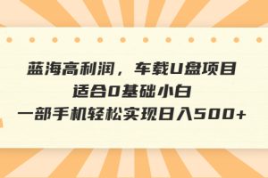 (6600期)蓝海高利润,车载U盘项目,适合0基础小白,一部手机轻松实现日入500+