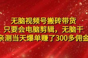 (4862期)无脑视频号搬砖带货,只要会电脑剪辑,无脑干,亲测当天爆单赚了300多佣金