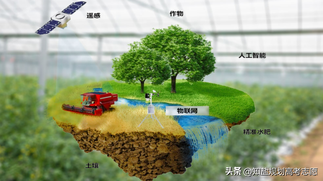 农学类哪个专业发展前景好_农学类前景最好的十大专业_前景农学类专业好找工作吗