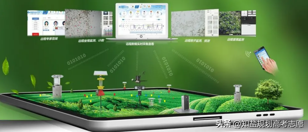 农学类哪个专业发展前景好_前景农学类专业好找工作吗_农学类前景最好的十大专业