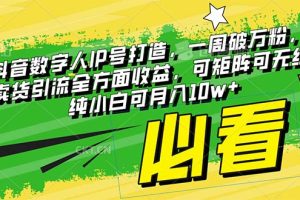 （8100-1期）最新抖音数字人IP号打造，一周破万粉，收徒卖课卖货引流全方面收益，可…