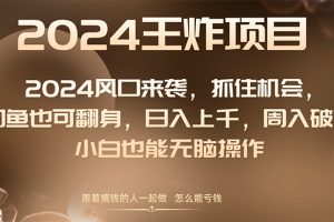 （8402期）2024风口项目来袭，抓住机会，闲鱼也可翻身，日入上千，周入破万，小白…