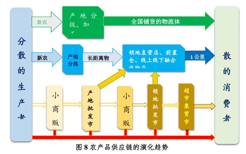 农村电商的发展现状和趋势_农村电商的发展现状研究论文_农村电商发展的积极变化