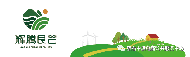 农村电商的发展现状和趋势-农村电商发展现状及助农过程中存在的问题和对策