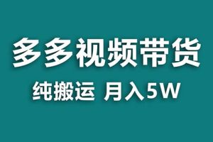 （8492期）【蓝海项目】拼多多视频带货 纯搬运一个月搞了5w佣金，小白也能操作 送工具