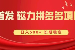 （8611期）首发 磁力拼多多自撸  日入500+