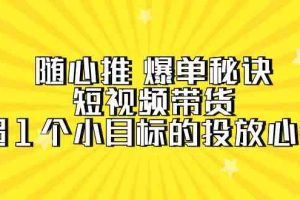 （9687期）随心推 爆单秘诀，短视频带货-超1个小目标的投放心得（7节视频课）