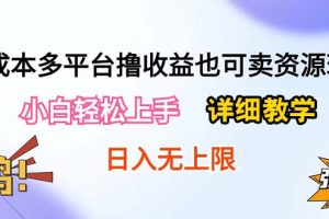 (10293期)0成本多平台撸收益也可卖资源玩法,小白轻松上手。详细教学日入500+附资源
