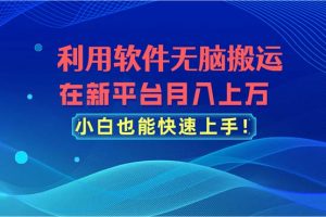 (11078期)利用软件无脑搬运,在新平台月入上万,小白也能快速上手
