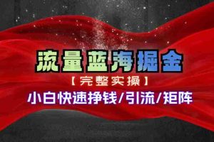 （11302期）热门赛道掘金_小白快速入局挣钱，可矩阵【完整实操】