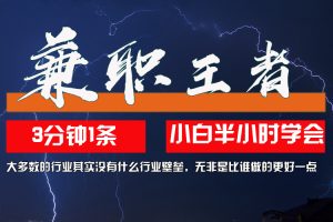 （12721期）兼职王者，3分钟1条无脑批量操作，新人小白半小时学会，长期稳定 一天200+