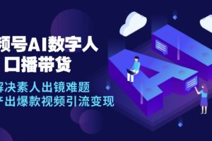 （12958期）视频号数字人AI口播带货，解决素人出镜难题，高效产出爆款视频引流变现