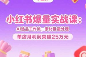 （15462期）小红书爆量实战课：AI选品工作流，素材批量处理，单店月利润突破25万元