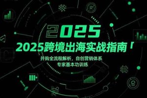 （15503期）2025跨境出海实战指南，并购全流程解析，自创营销体系，专家基本功训练