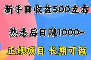 (16132期)新手日收益500+ 正规项目 长期可做