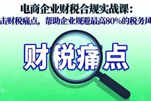 （16232期）电商企业财税合规实战课，直击财税痛点，帮助企业规避最高80%的税务风险