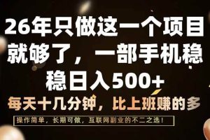 (17319期)26年只做这一个项目,一部手机,每天十几分钟,轻松日入500+