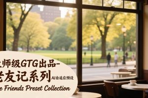 (17403期)大师级GTG出品-老友记系列AI自适应预设The Friends Preset Collection