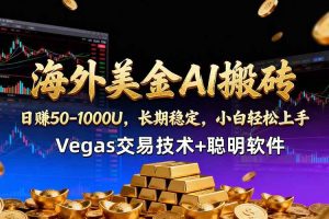 （18276期）海外美金AI搬砖技术Vegas交易技术+聪明软件【训练营第七期】，日赚50-100U