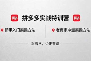 （18309期）拼多多实战特训营(更新5月3)：不管是新手入门或老商家冲量，都有实操方法，跟着学，少走弯路